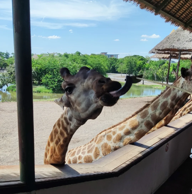 202604131409-8842752431.png image.png