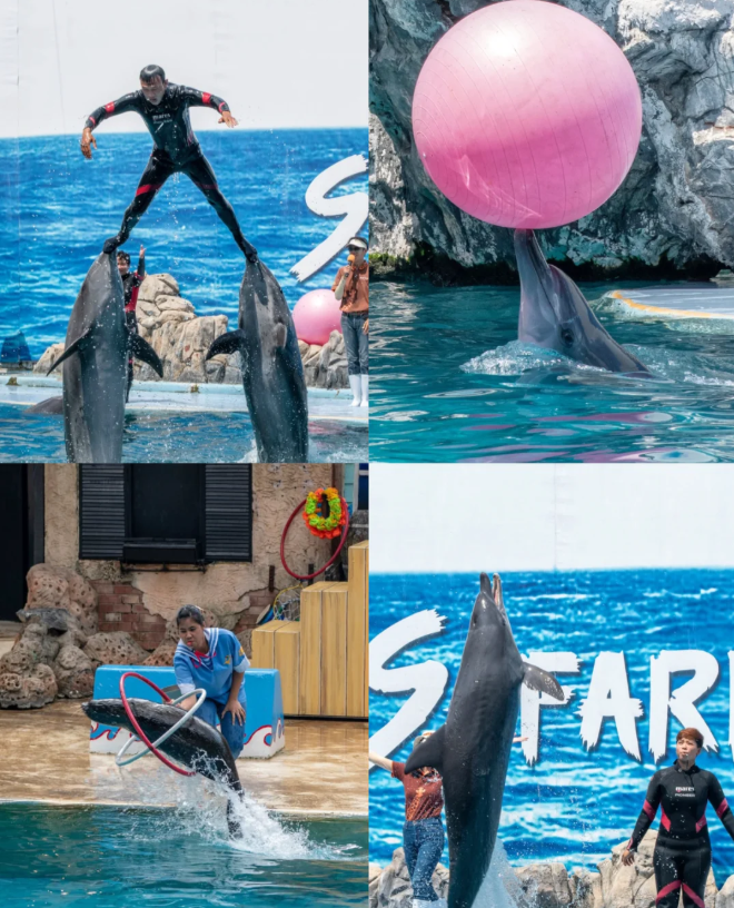 202604131410-4829673434.png image.png