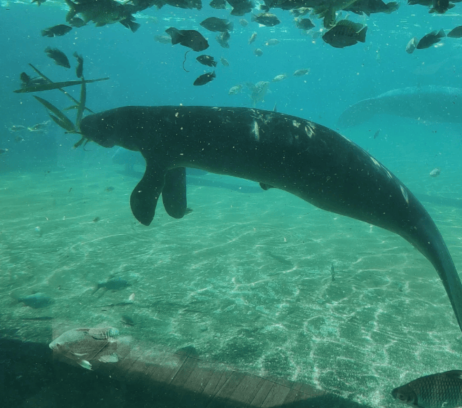 202604131410-7216304498.png image.png