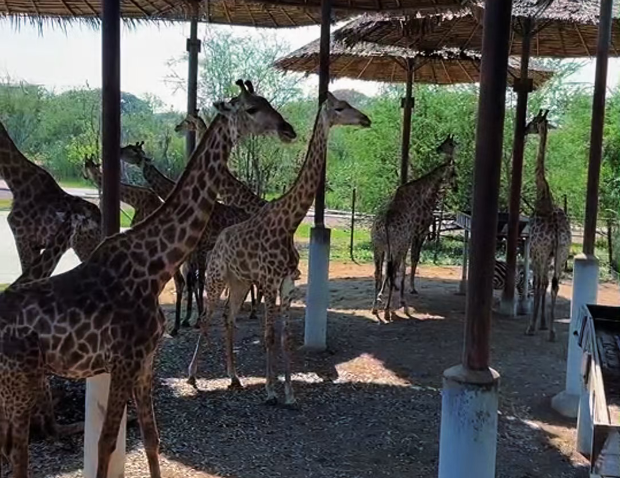 202604131436-5654938639.png image.png