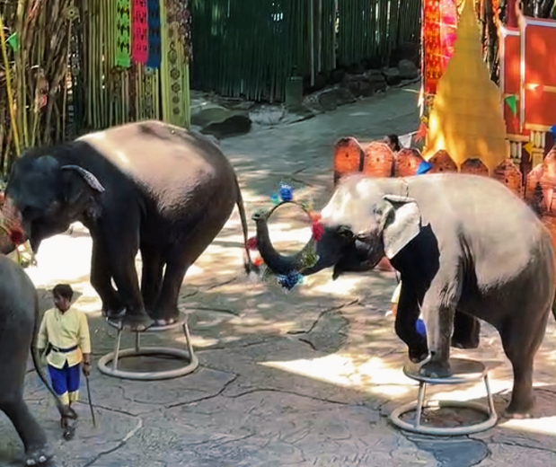 202604131437-1500595849.png image.png