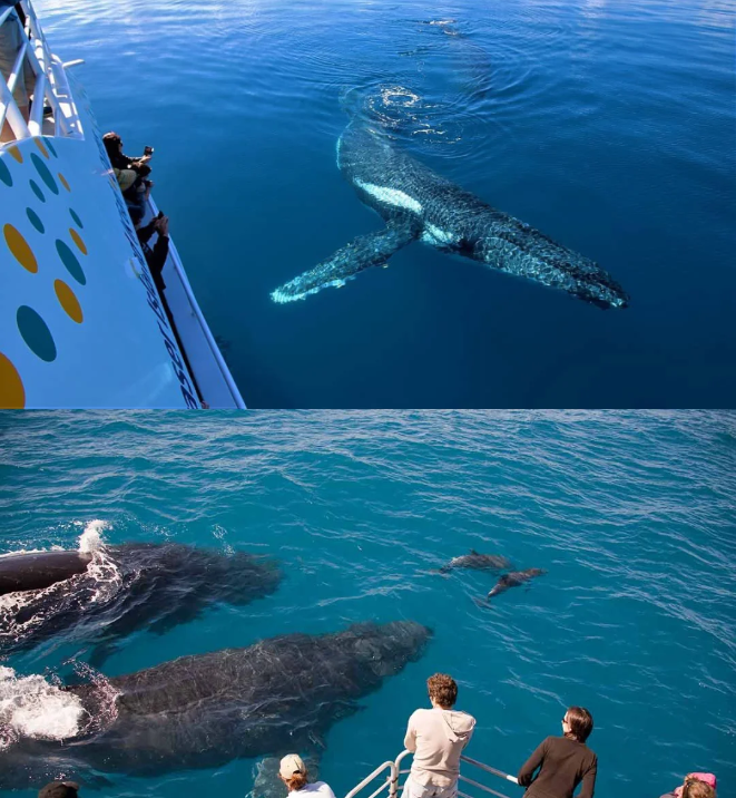 202604131735-6317765695.png image.png