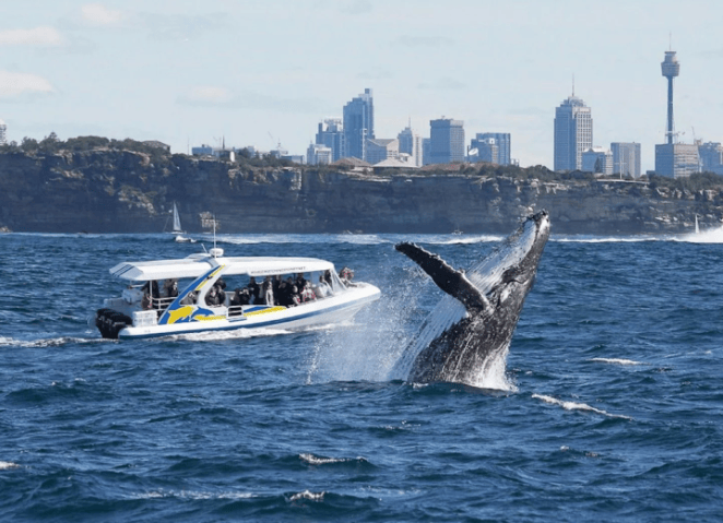 202604131737-4250859264.png image.png