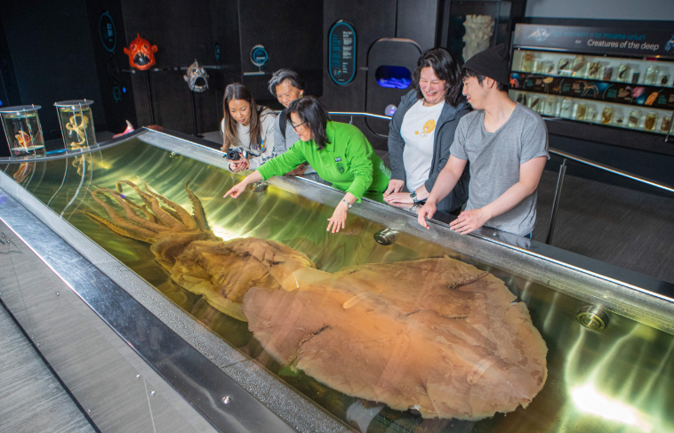 202604141015-9549993869.png image.png