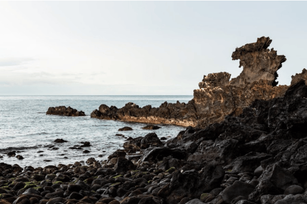 202604141329-7749217534.png image.png