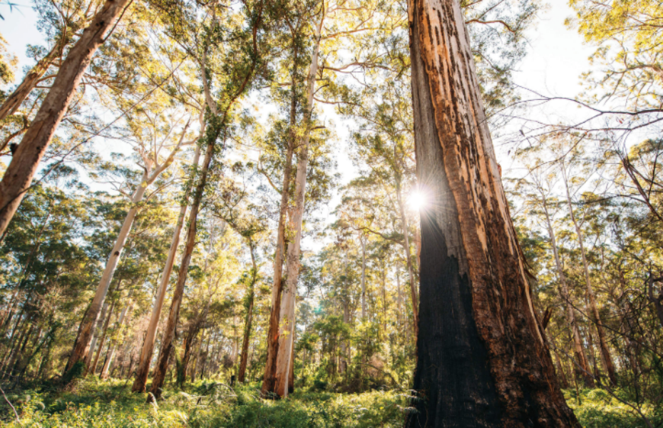 屏幕截图 2026-04-14 133007.png