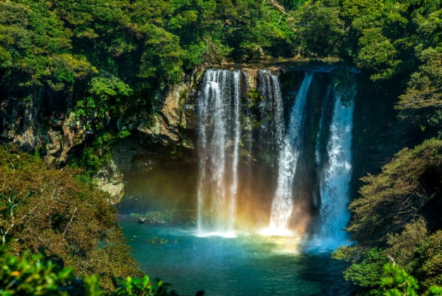 202604141344-7104130774.png image.png