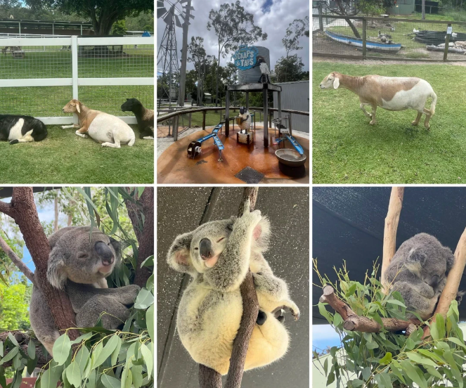 屏幕截图 2026-04-14 161919.png