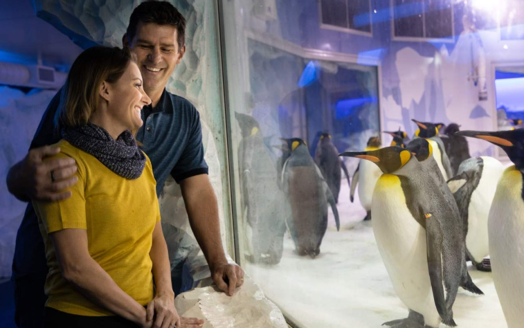 202604150943-4710335925.png image.png