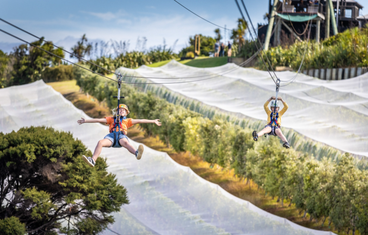 202604150952-3694845842.png image.png