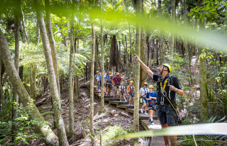 202604150952-6246742773.png image.png