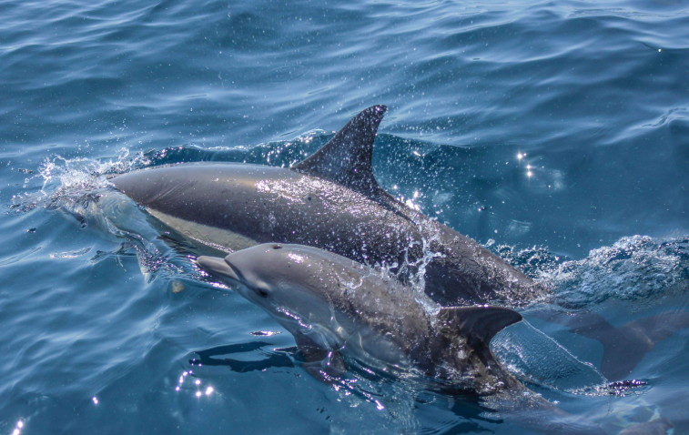 202604151106-3898317289.png image.png