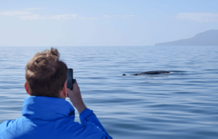 202604151107-2465388612.png image.png