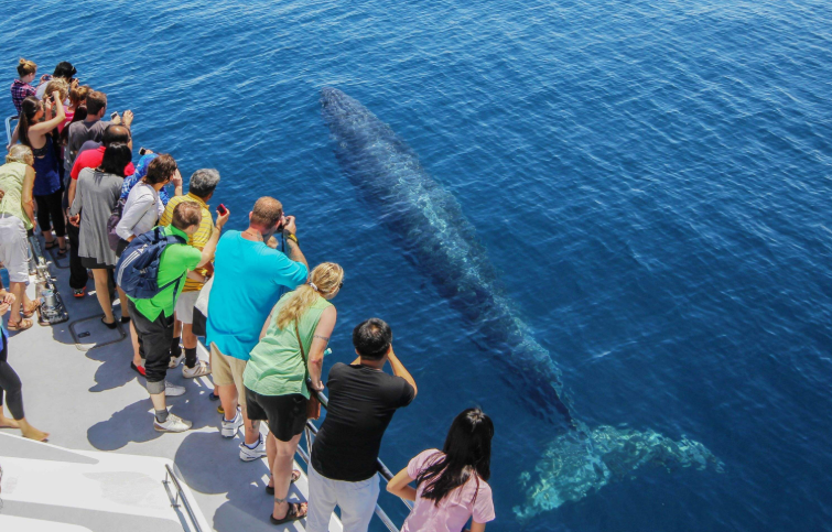 202604151107-4306646784.png image.png