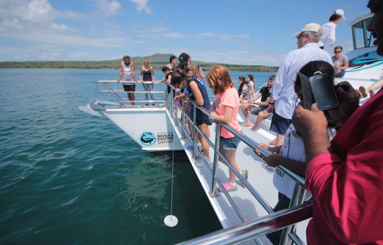 202604151107-5125292232.png image.png