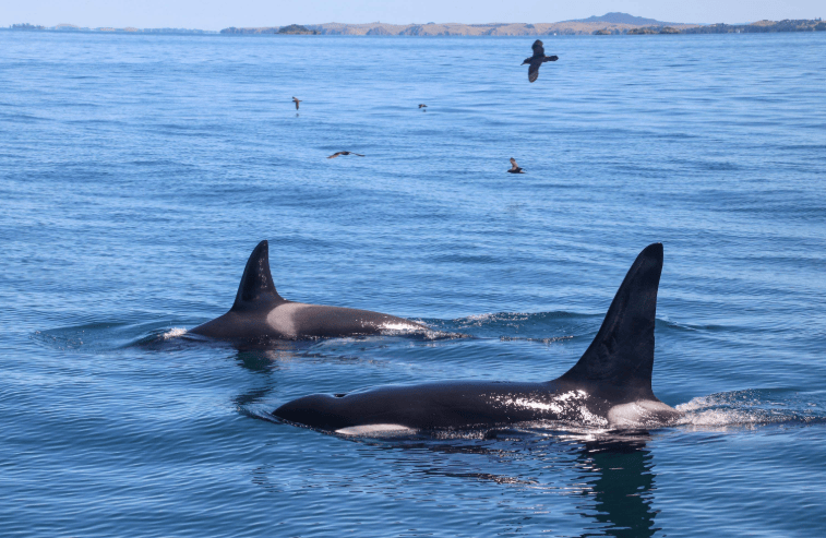 202604151107-6392453641.png image.png