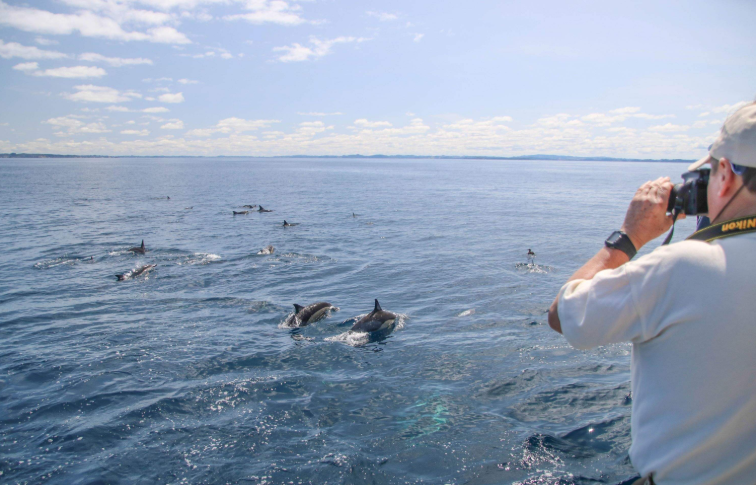 202604151107-7094605222.png image.png