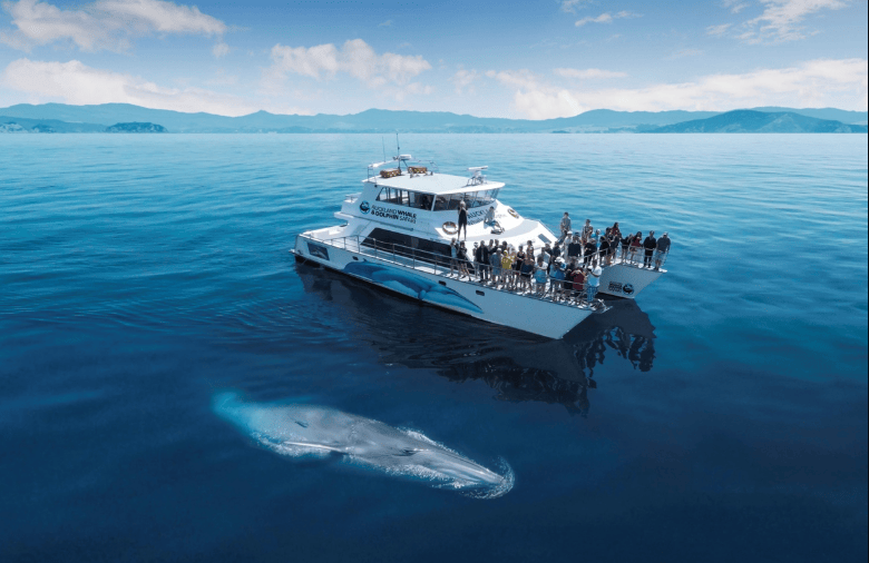 202604151108-3062126080.png image.png