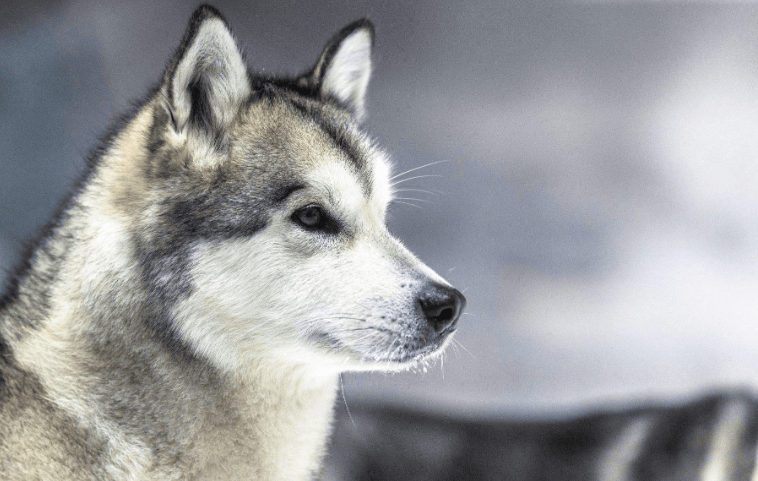 202604151119-4557936016.png image.png