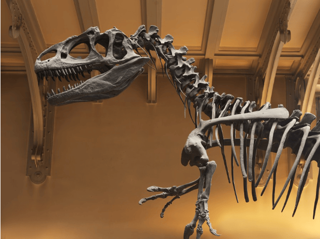 202604151404-8379047073.png image.png