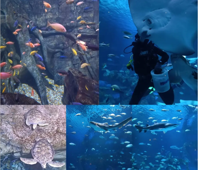 202604151448-4474207563.png image.png