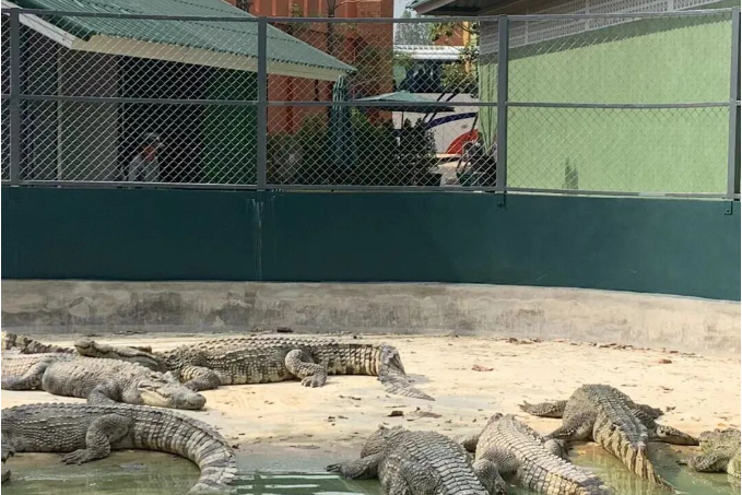 202604151500-5615246452.png image.png