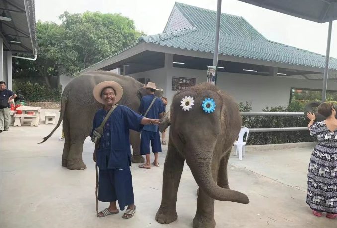 202604151501-6435692312.png image.png