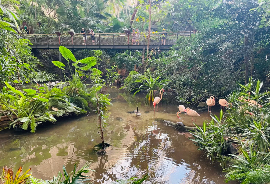 202604161402-3161653828.png image.png