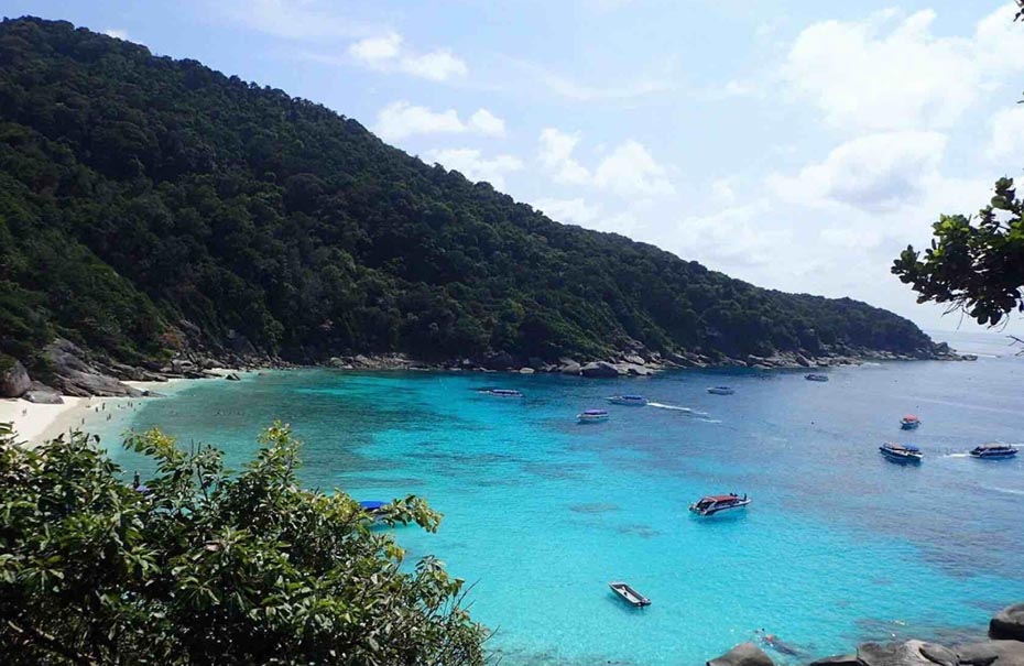 202604161538-5384107778.jpg 930-7.jpg