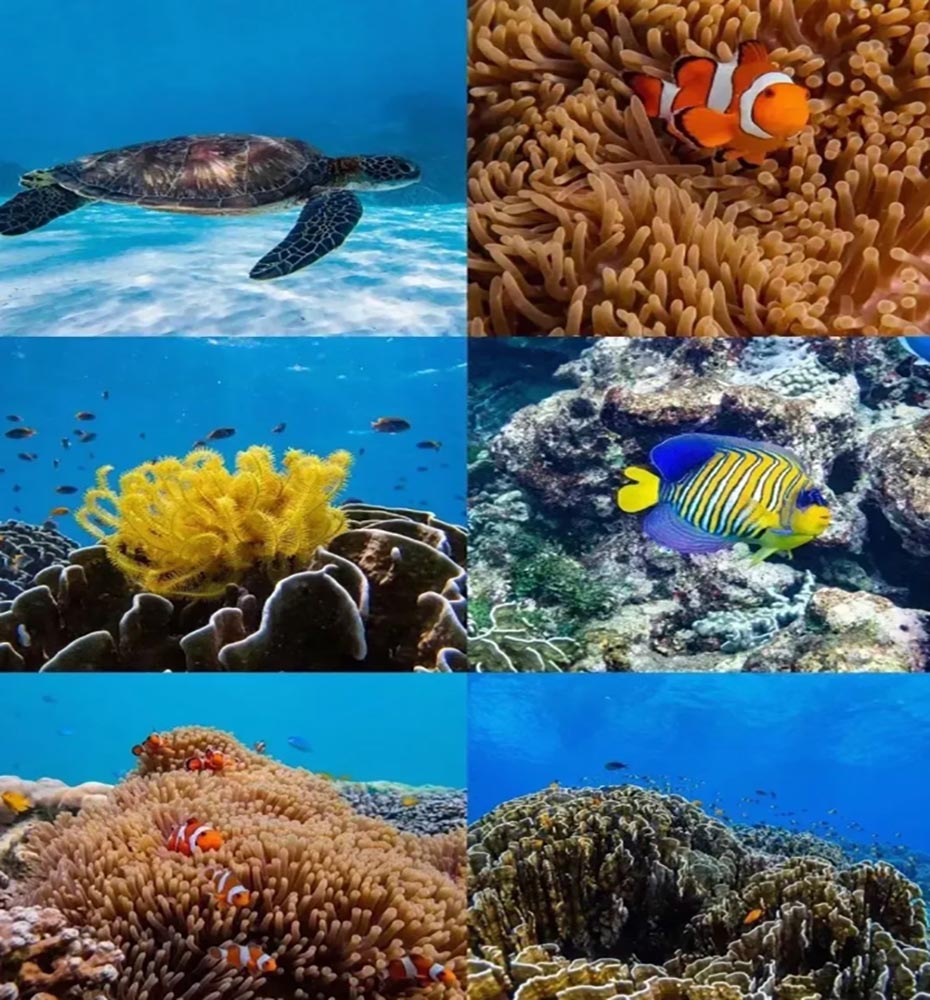 202604161538-6699036028.jpg 930-3.jpg