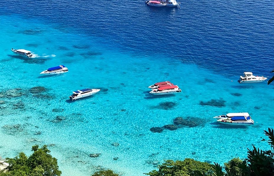 202604161538-7528577484.jpg 930-5.jpg