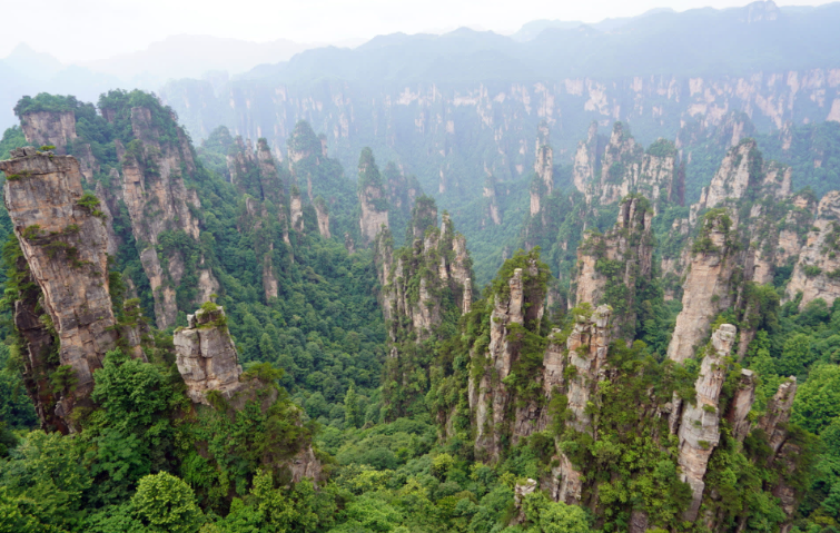 202604161549-4235383040.png image.png