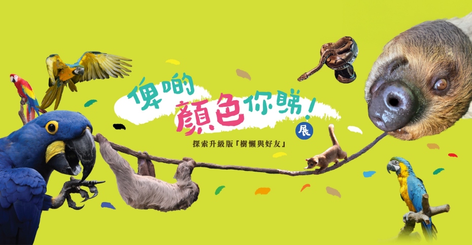 op-Sloth-n-friends-home-desktop-tc (1).jpg