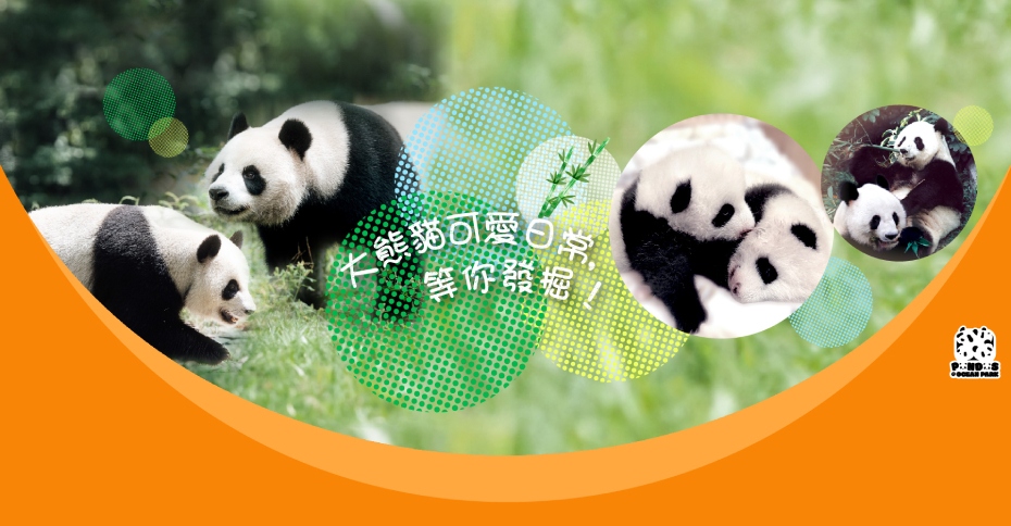 op-gaint-panda-delights-banner-tc-1920x1000 (1).jpg