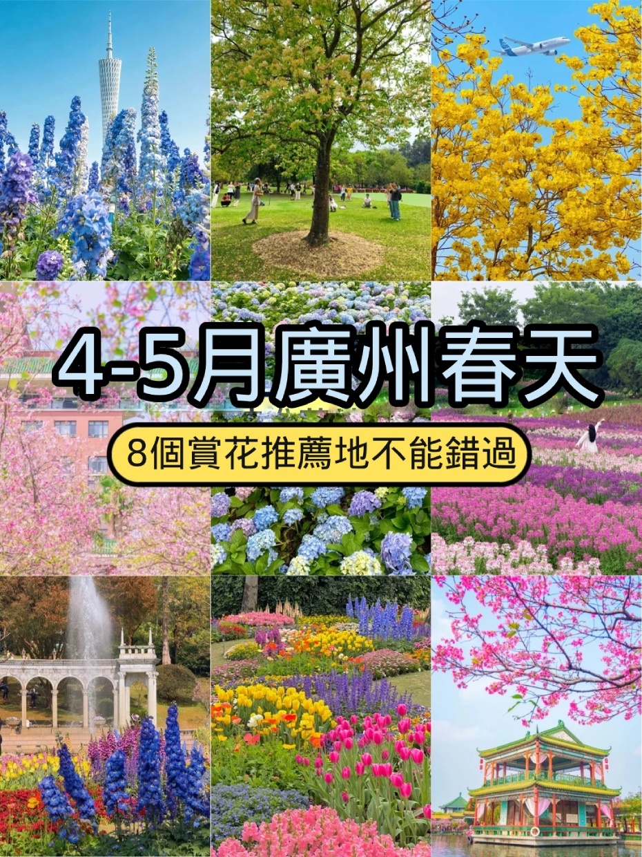 微信图片_2026-04-22_135143_811 (1).jpg