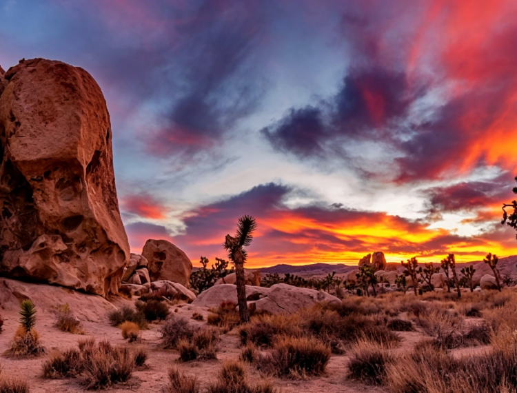 提升图片清晰度 (33).png