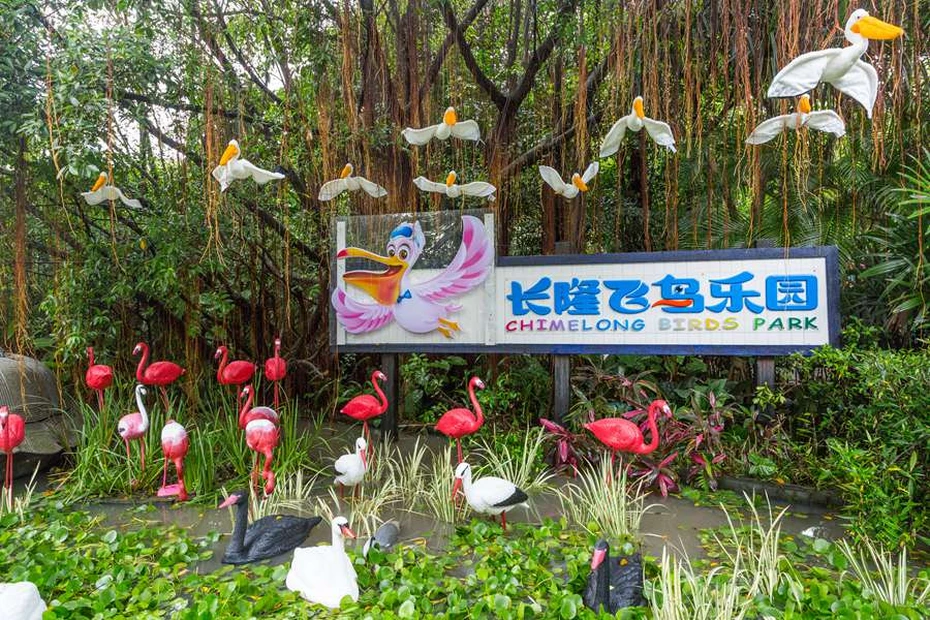 飛鳥樂園1_webp.webp