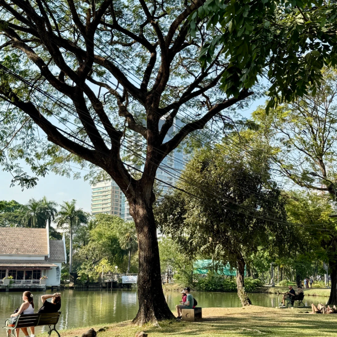 屏幕截图 2026-05-08 113918.png