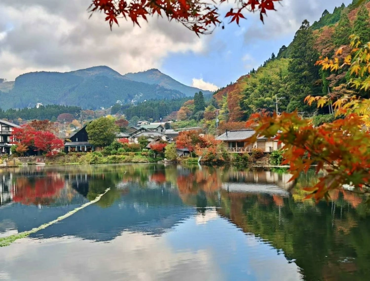 大圖