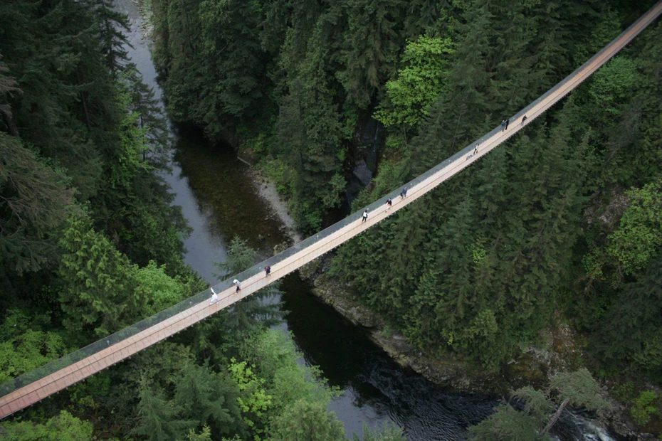 DM_20260513121719_002_webp.webp