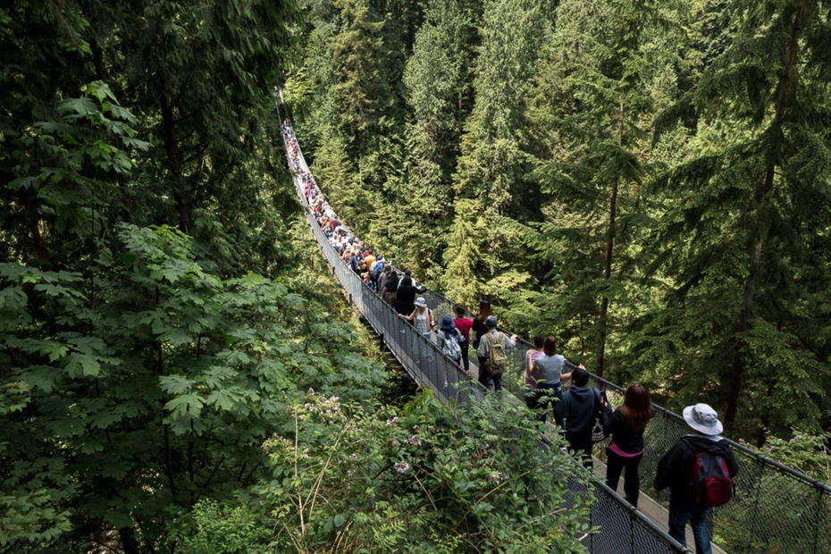 DM_20260513121719_009_webp.webp