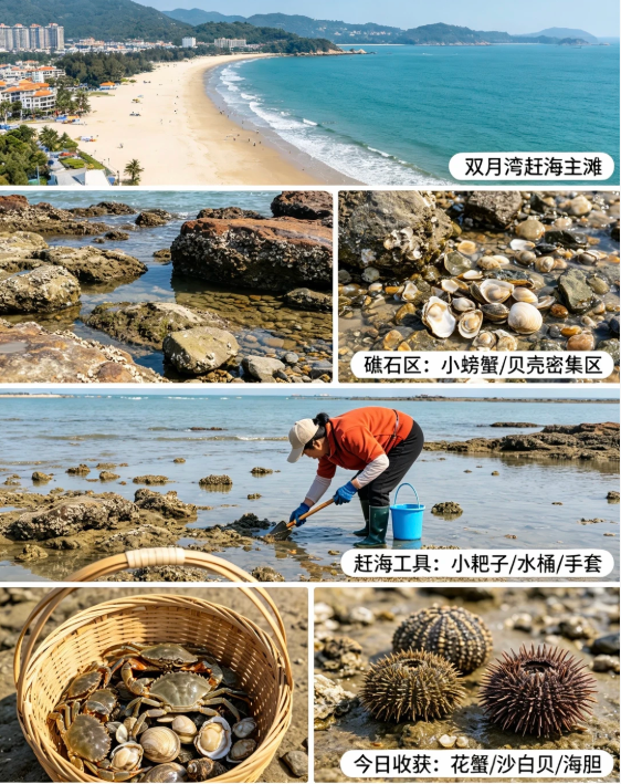 202605151435-8502597880.png image.png
