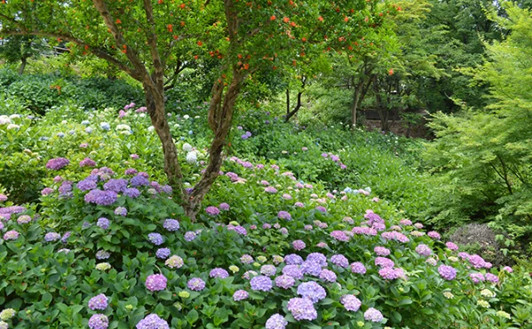 202605201332-3291715828.png image.png