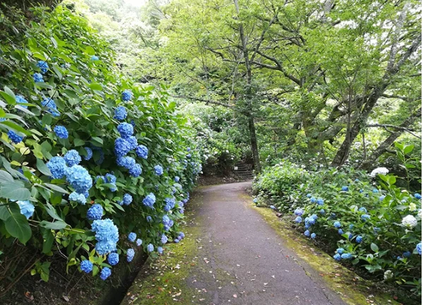 202605201332-7028577553.png image.png