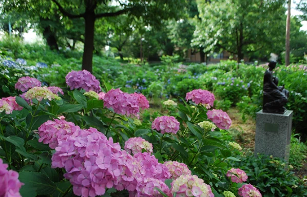 202605201404-6152025993.png image.png