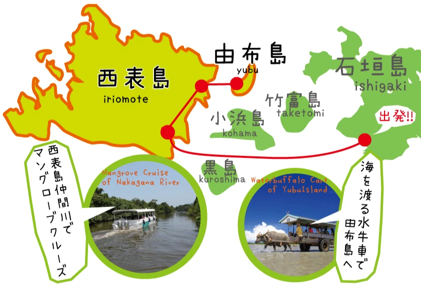 大圖