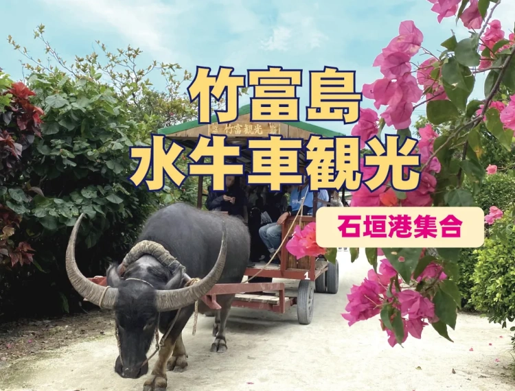 大圖