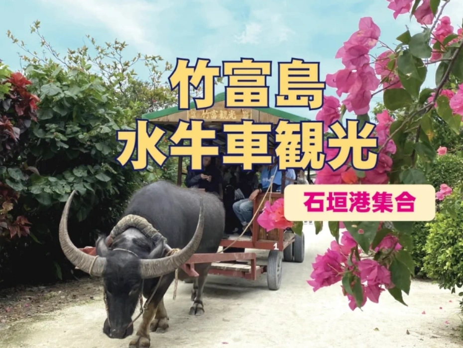資訊配圖 1