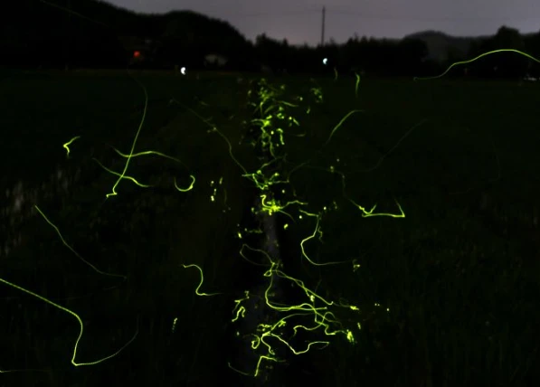 202605211449-8451623265.png image.png
