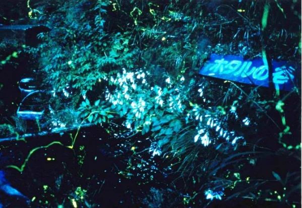 202605211450-2374752603.png image.png